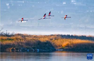  初冬時(shí)節(jié)，神州大地開(kāi)啟“美顏”模式  