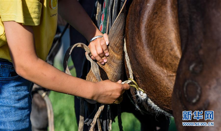 (特別的暑期生活·圖片故事)(7)草原女孩錫林花的暑期“歡樂時光”